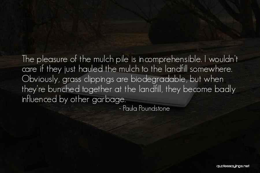 Funny Startup Quotes By Paula Poundstone Funny Startup Quotes By Paula Poundstone