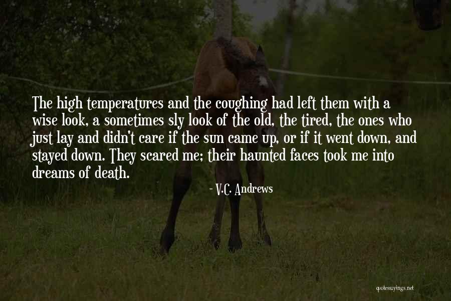 Funny Status Message Quotes By V.C. Andrews Funny Status Message Quotes By V.C. Andrews