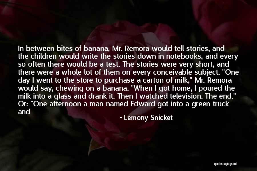 Funny Story Quotes By Lemony Snicket Funny Story Quotes By Lemony Snicket
