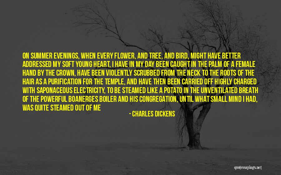 Funny Summer Quotes By Charles Dickens Funny Summer Quotes By Charles Dickens
