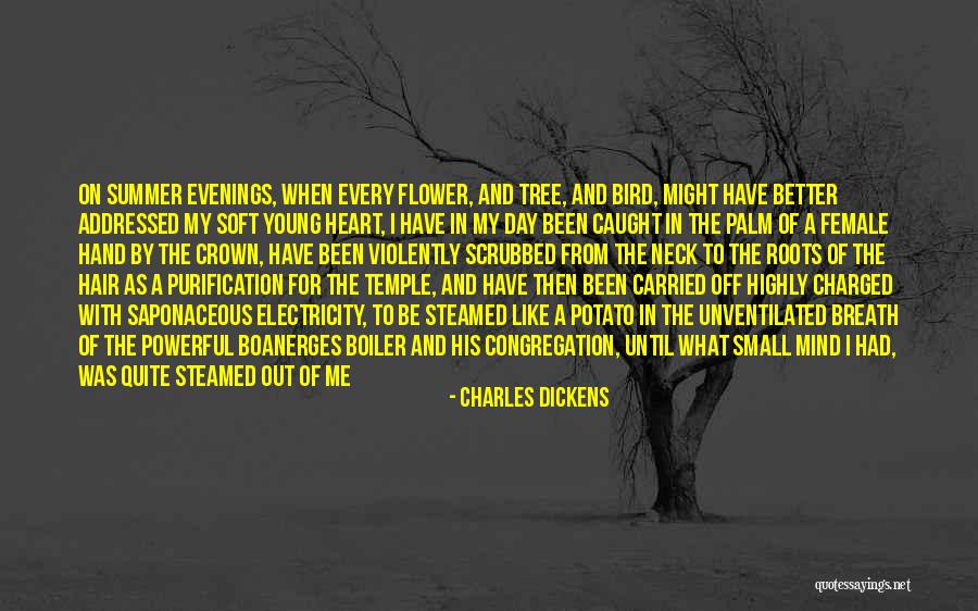 Funny Summer Quotes By Charles Dickens