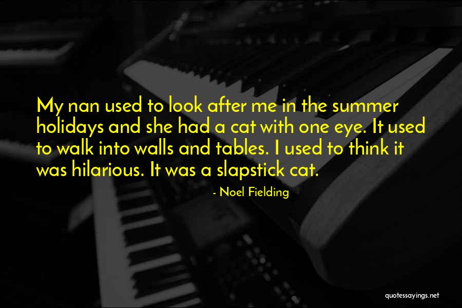 Funny Summer Quotes By Noel Fielding