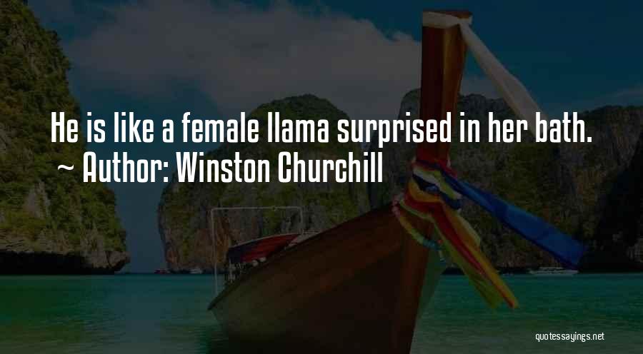 Funny Surprised Quotes By Winston Churchill