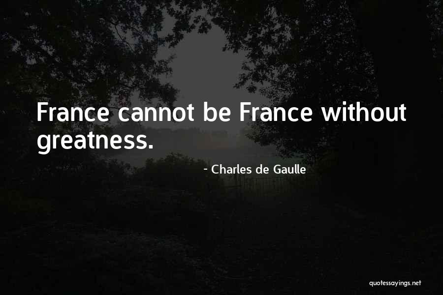 Funny Swimming Motivational Quotes By Charles De Gaulle Funny Swimming Motivational Quotes By Charles De Gaulle