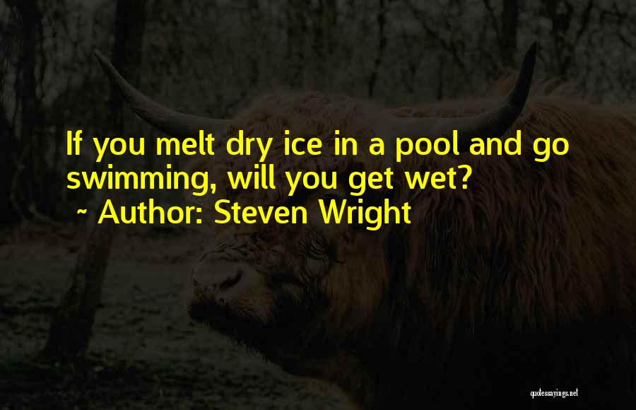 Funny Swimming Pool Quotes By Steven Wright