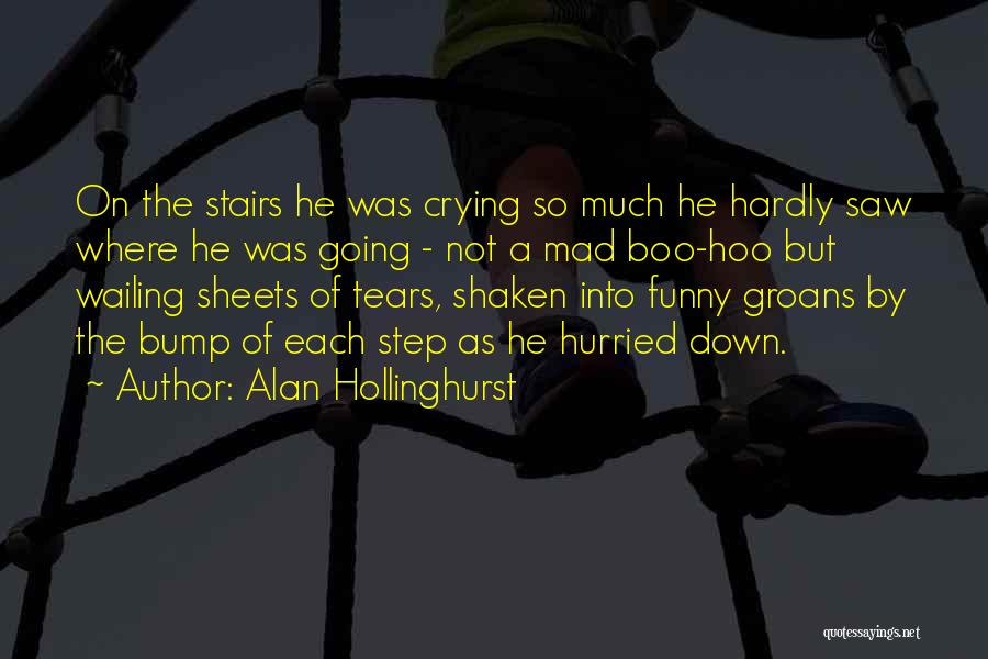 Funny Tears Quotes By Alan Hollinghurst