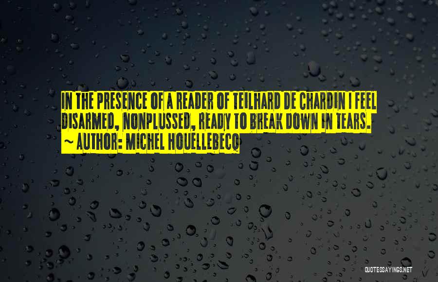 Funny Tears Quotes By Michel Houellebecq