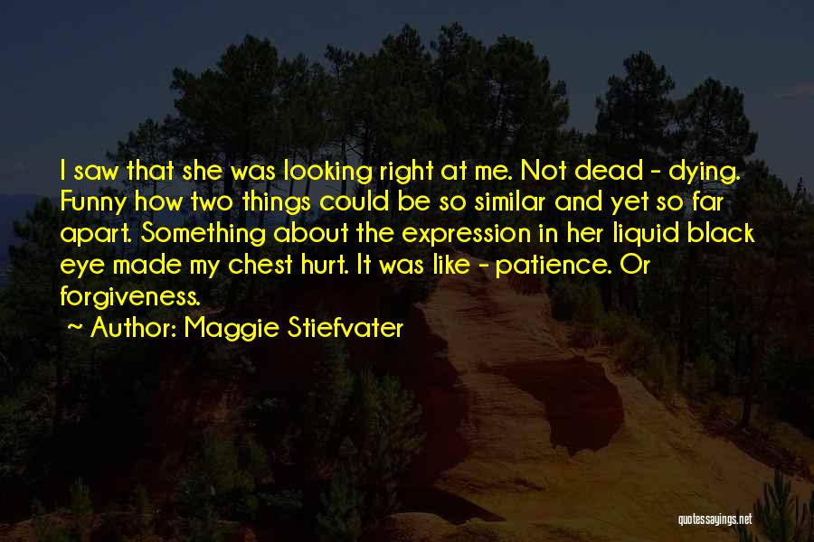 Funny Things About Me Quotes By Maggie Stiefvater