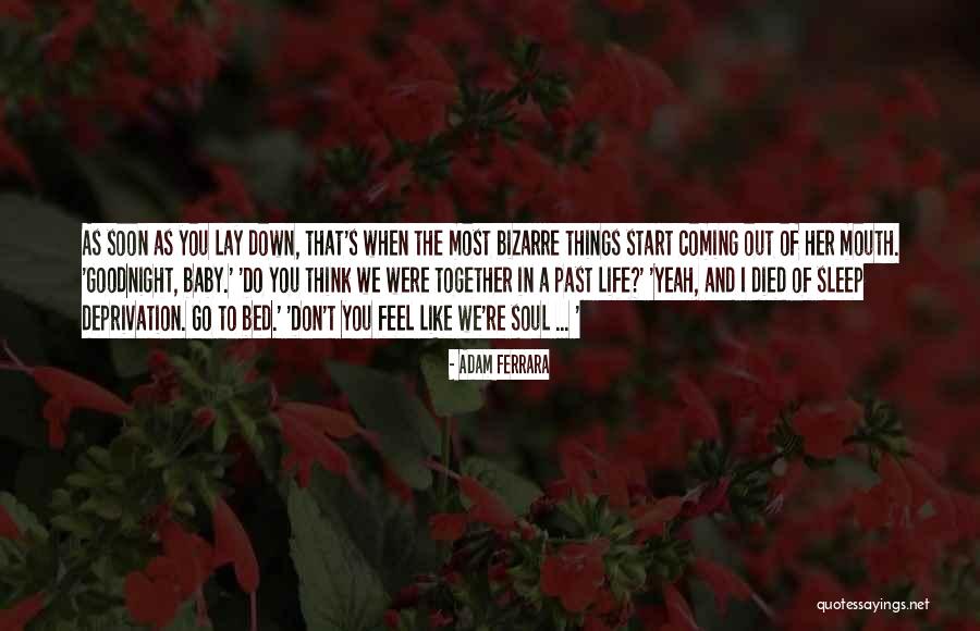 Funny Things In Life Quotes By Adam Ferrara Funny Things In Life Quotes By Adam Ferrara