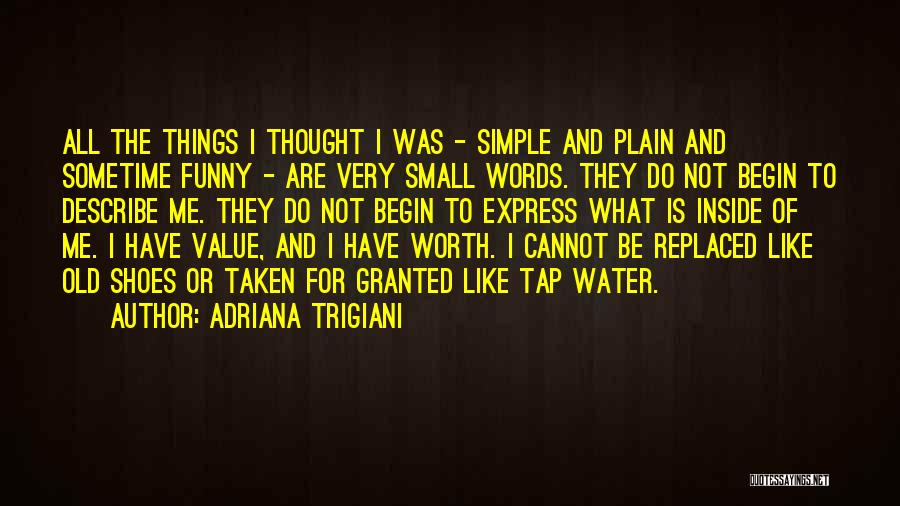 Funny Things Quotes By Adriana Trigiani