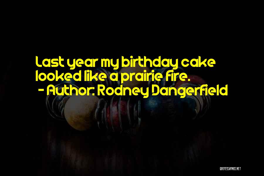 Funny Thirty Birthday Quotes By Rodney Dangerfield