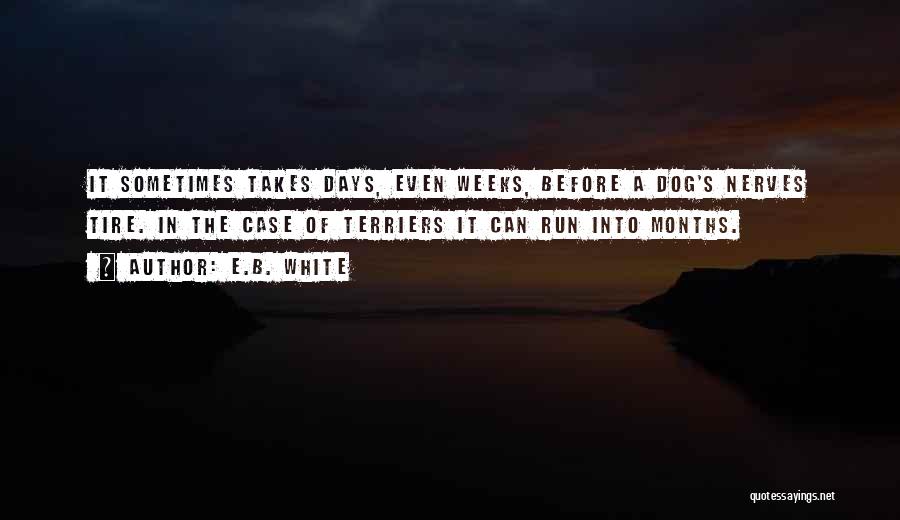 Funny Tire Quotes By E.B. White