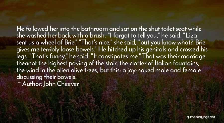 Funny Toilet Seat Quotes By John Cheever