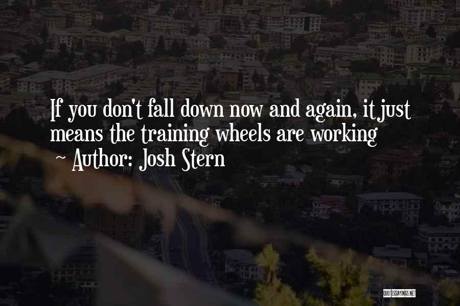 Funny Training Quotes By Josh Stern