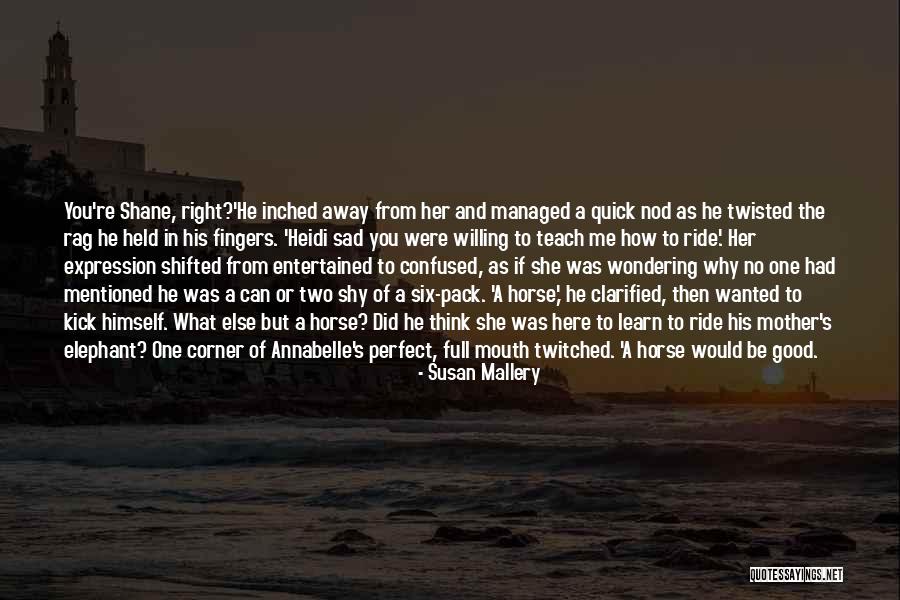 Funny Twisted Quotes By Susan Mallery