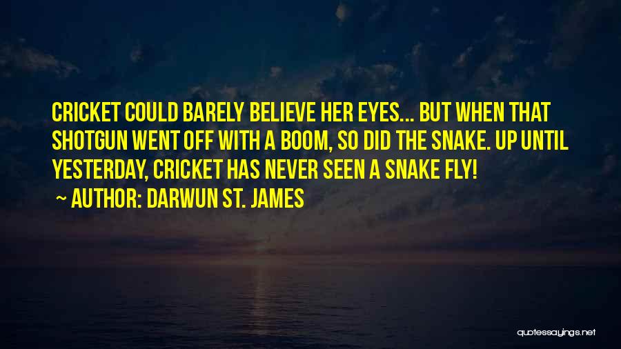 Funny Voodoo Quotes By Darwun St. James