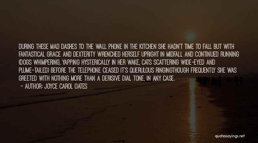 Funny Wall Quotes By Joyce Carol Oates