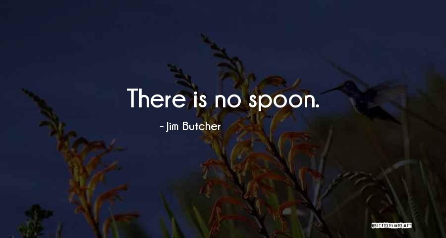 Funny Wizard Quotes By Jim Butcher Funny Wizard Quotes By Jim Butcher