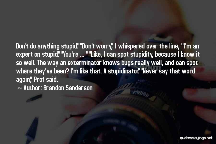 Funny You're Stupid Quotes By Brandon Sanderson