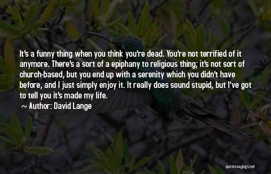 Funny You're Stupid Quotes By David Lange