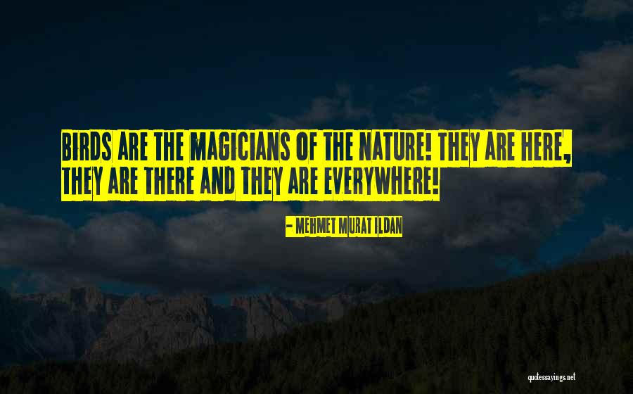 Funny Zante Quotes By Mehmet Murat Ildan Funny Zante Quotes By Mehmet Murat Ildan