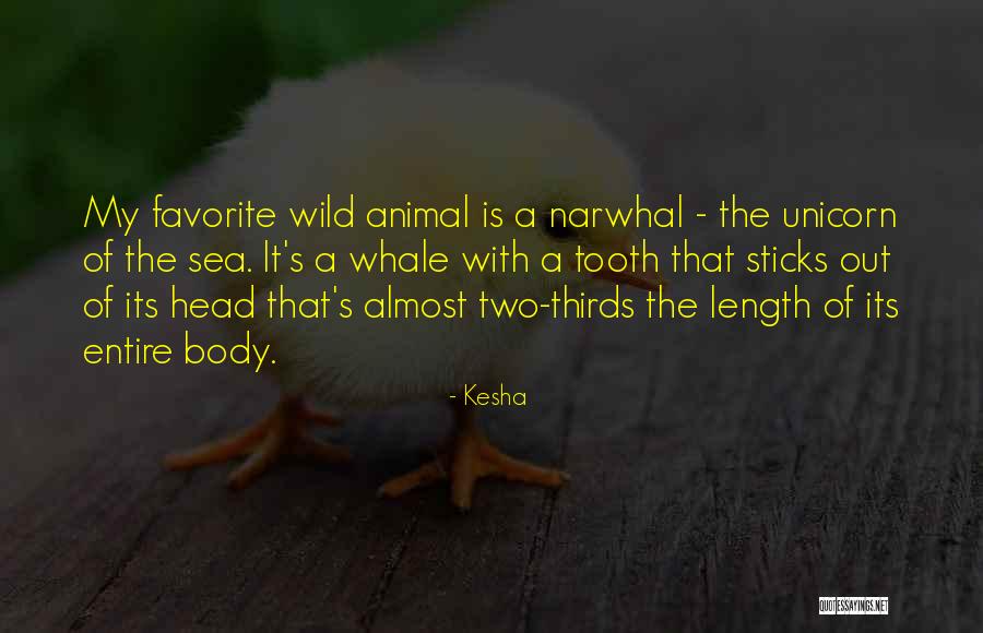 Funtila Quotes By Kesha Funtila Quotes By Kesha