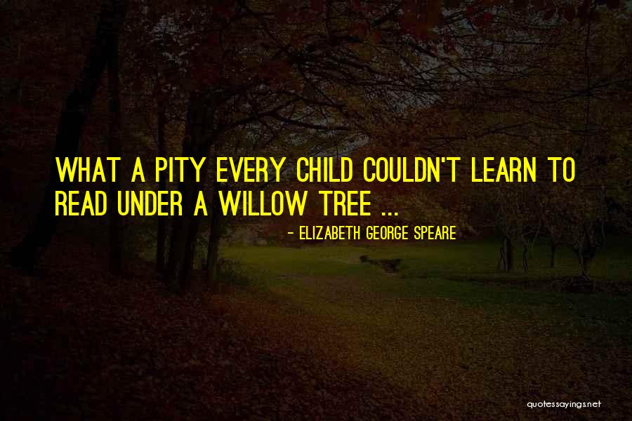 Funzionano Quotes By Elizabeth George Speare Funzionano Quotes By Elizabeth George Speare