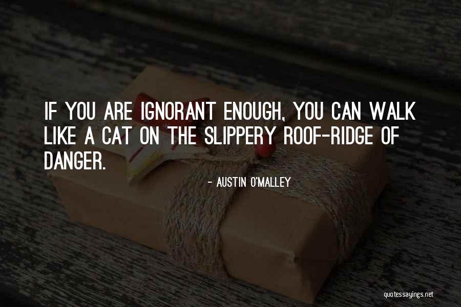 Fupi Adoptable Cats Quotes By Austin O'Malley Fupi Adoptable Cats Quotes By Austin O'Malley