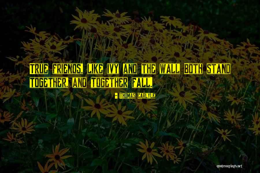 Furbelow Quotes By Thomas Carlyle