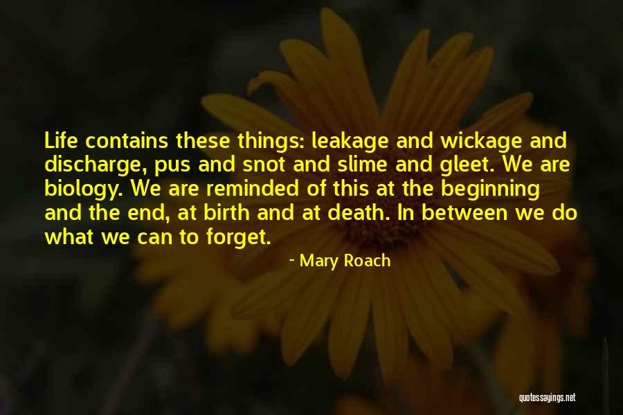Furino Construction Quotes By Mary Roach Furino Construction Quotes By Mary Roach