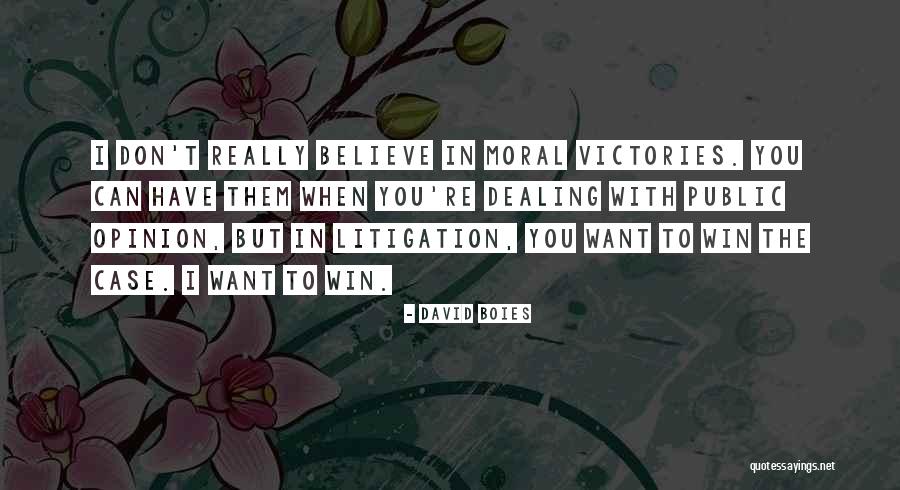 Furjanic Notre Dame Quotes By David Boies Furjanic Notre Dame Quotes By David Boies