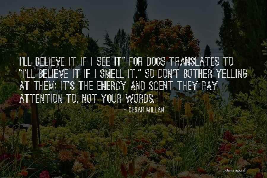 Furlan Church Quotes By Cesar Millan Furlan Church Quotes By Cesar Millan
