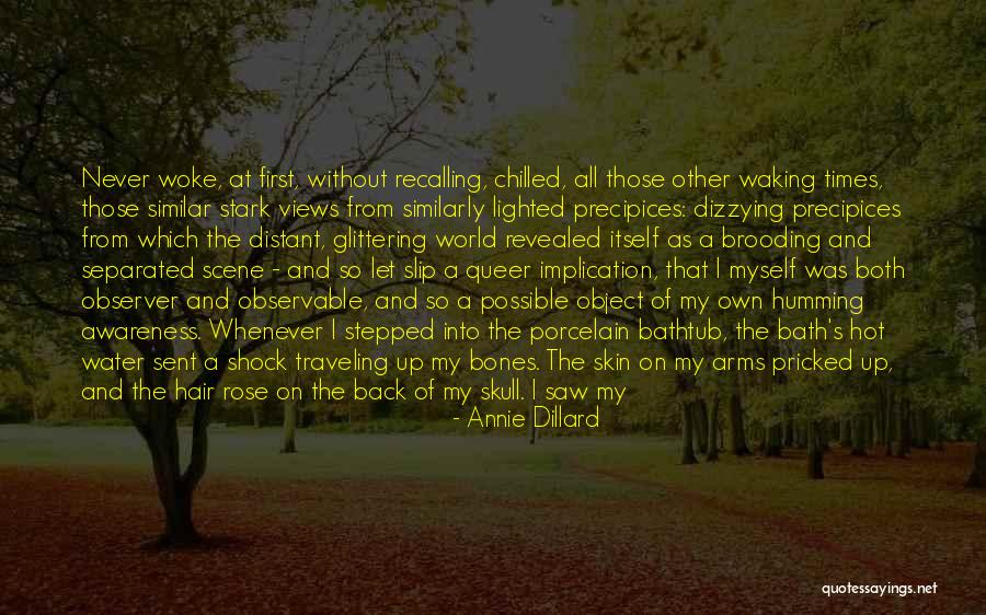 Furlongs Quotes By Annie Dillard Furlongs Quotes By Annie Dillard