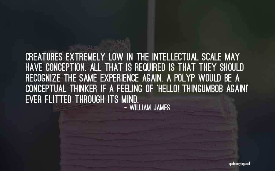 Furlotti Winery Quotes By William James Furlotti Winery Quotes By William James