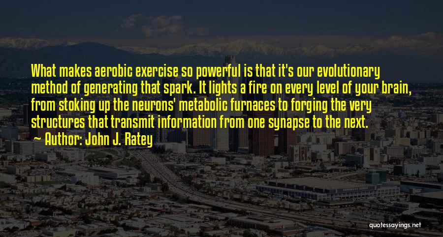 Furnaces Quotes By John J. Ratey