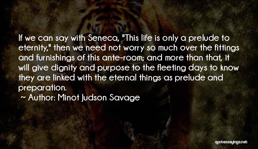 Furnishings Quotes By Minot Judson Savage