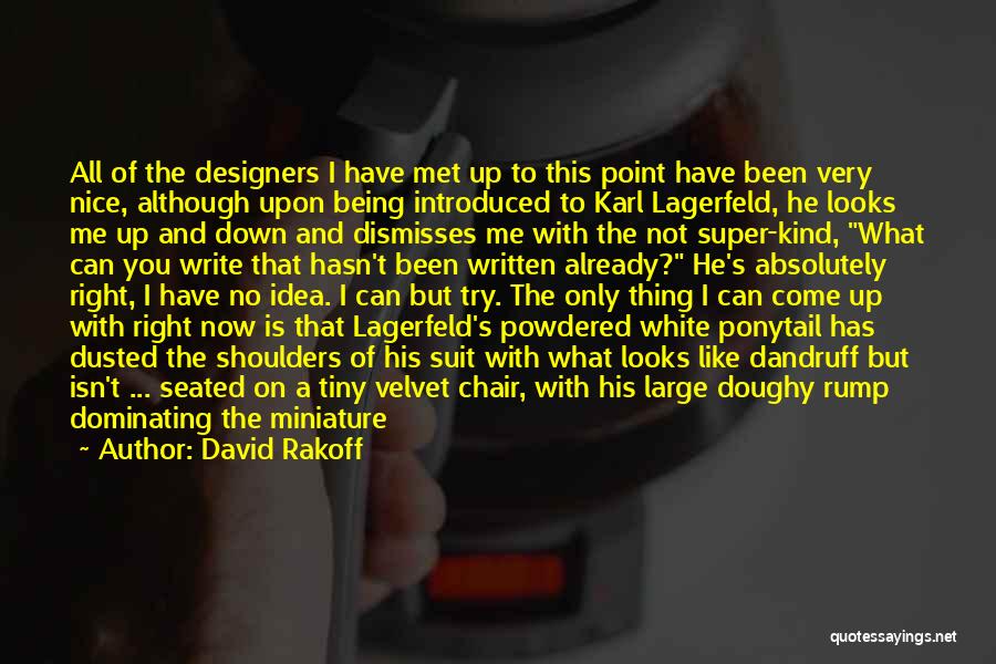 Furniture Designers Quotes By David Rakoff