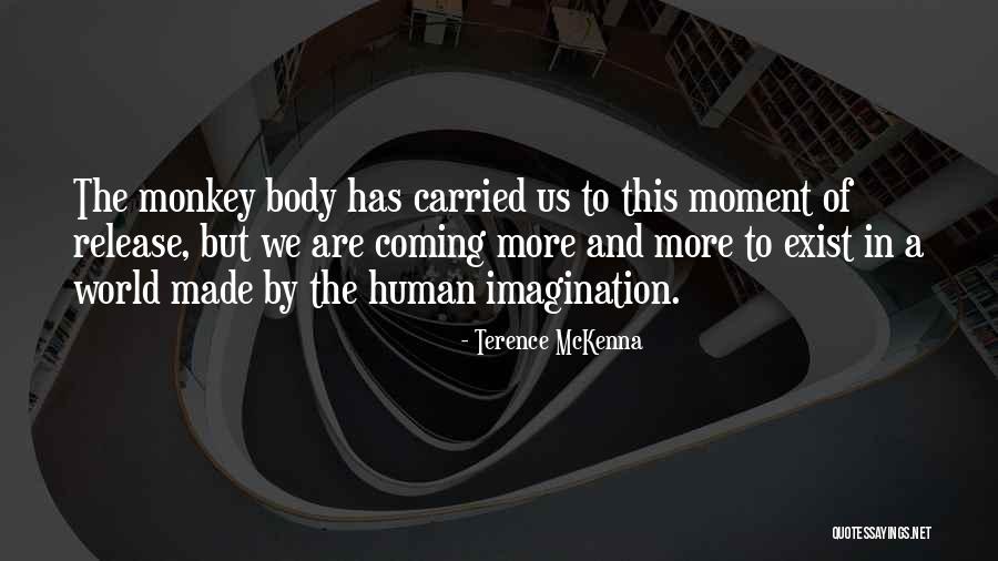 Furnizeaza Sinonim Quotes By Terence McKenna Furnizeaza Sinonim Quotes By Terence McKenna