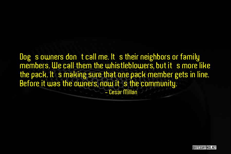 Furonol Quotes By Cesar Millan Furonol Quotes By Cesar Millan