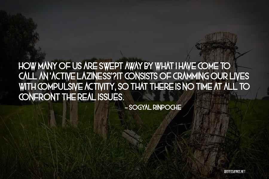 Furor Quotes By Sogyal Rinpoche Furor Quotes By Sogyal Rinpoche