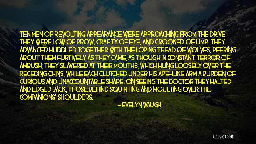Furtively In A Way Quotes By Evelyn Waugh Furtively In A Way Quotes By Evelyn Waugh