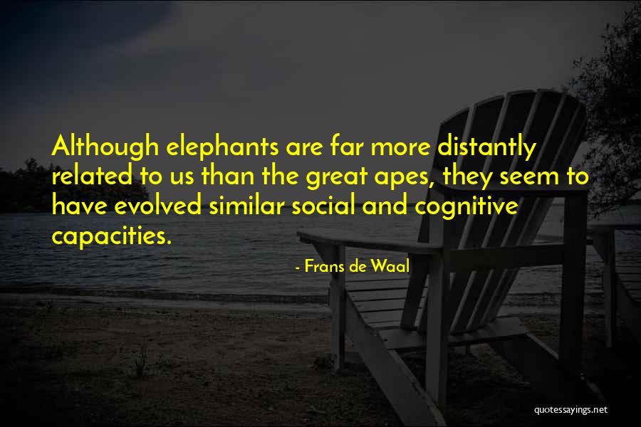 Furtivos 1975 Quotes By Frans De Waal Furtivos 1975 Quotes By Frans De Waal
