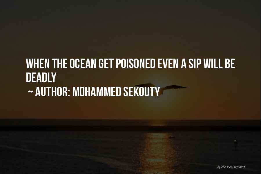 Furture Quotes By Mohammed Sekouty