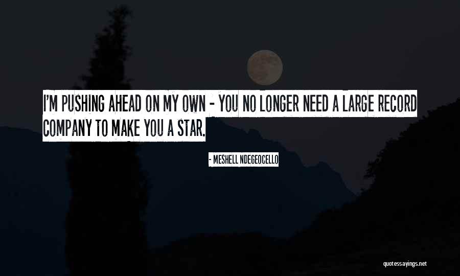 Furuzan Iranian Quotes By Meshell Ndegeocello Furuzan Iranian Quotes By Meshell Ndegeocello