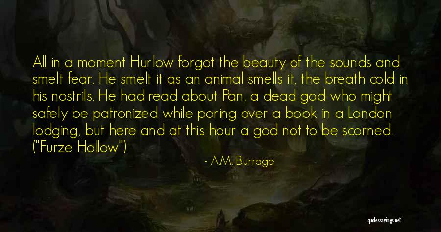Furze Quotes By A.M. Burrage Furze Quotes By A.M. Burrage