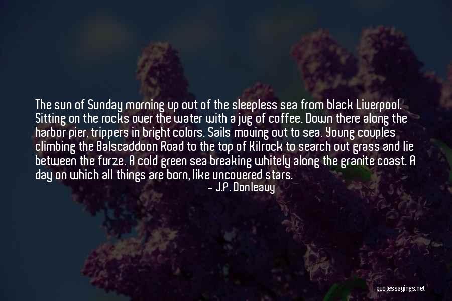 Furze Quotes By J.P. Donleavy Furze Quotes By J.P. Donleavy