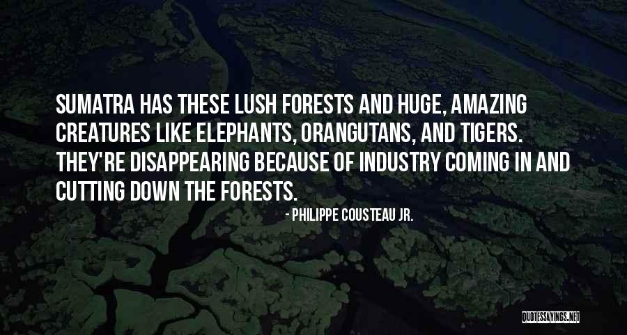 Fuscardo Weirton Quotes By Philippe Cousteau Jr. Fuscardo Weirton Quotes By Philippe Cousteau Jr.