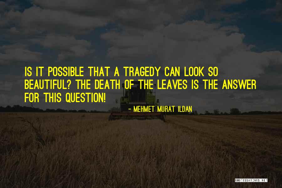 Fusco Cichlid Quotes By Mehmet Murat Ildan Fusco Cichlid Quotes By Mehmet Murat Ildan