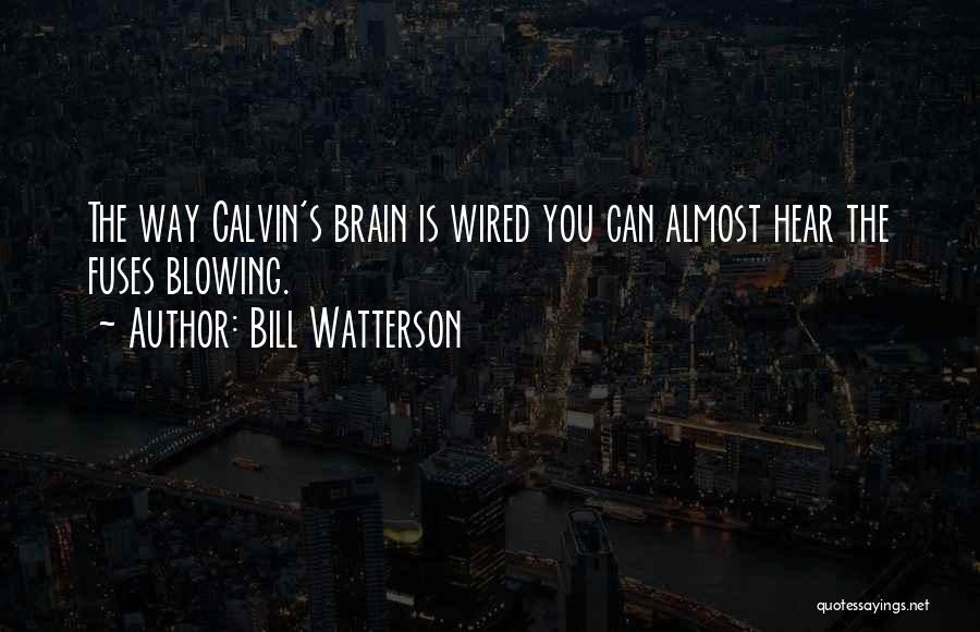 Fuses Quotes By Bill Watterson