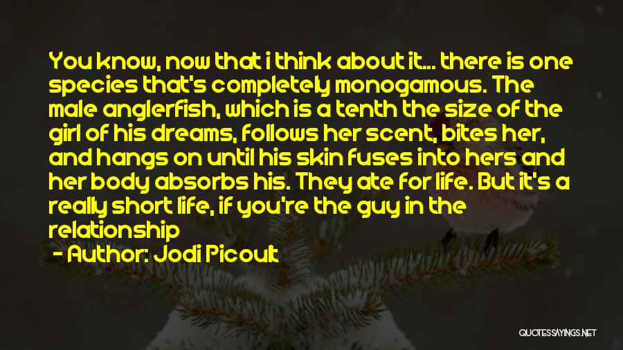 Fuses Quotes By Jodi Picoult